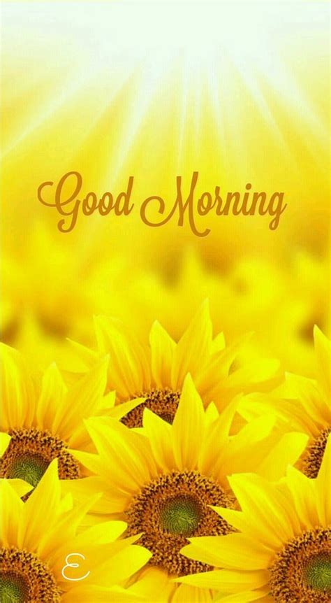 Say goodbye to yesterday, for today is a brand new start. Sunflower Good Morning Quotes Pictures, Photos, and Images ...