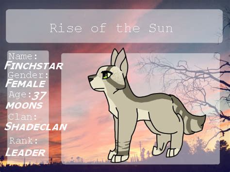 Rise Of The Sun Finchstar Of Shadeclan By Tolmlupoo On Deviantart