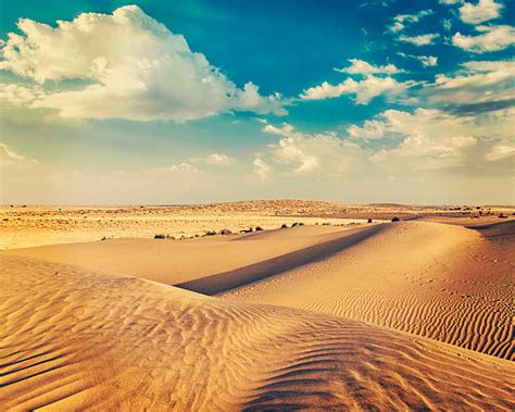 Royalty Free Thar Desert Pictures Images And Stock Photos Istock