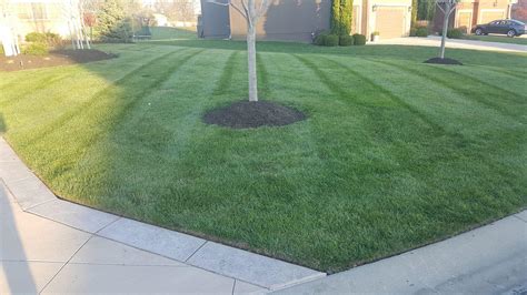Musi mowing & more inc. Lawn Care - Huston Contracting