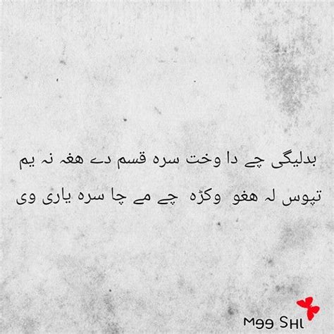 Pashto Poetry Friendship Quotes And More