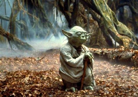 The Swamp Star Wars Quizzes Star Wars Characters Fictional Characters