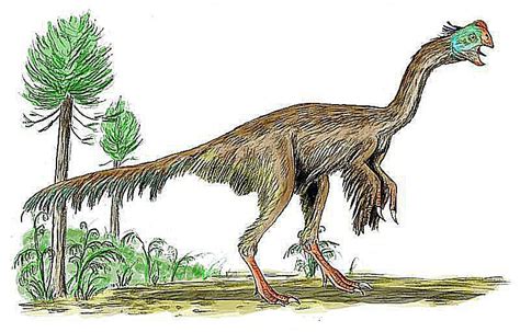 10 Facts About Gigantoraptor