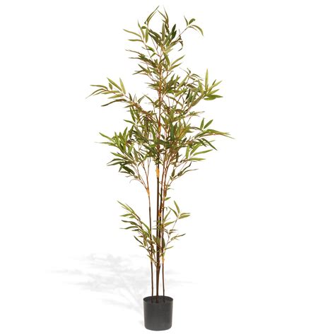 4 Ft Potted Japanese Bamboo Tree