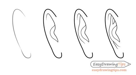 Male Ear Front View Drawing Step By Step How To Draw Ears Nose