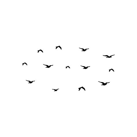 Gambar Siluet Burung Terbang Yang Bagus Siluet Burung Burung Terbang