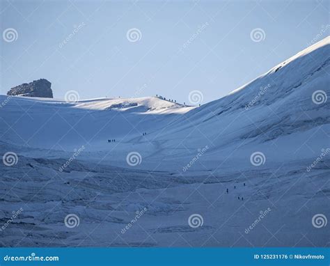 Gran Paradiso Glacier Stock Photo Image Of Italy Beautiful