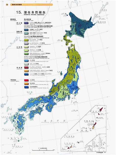 Japan Vegetation Map