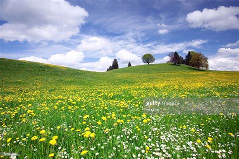 Bavarian Spring Meadow High Res Stock Photo Getty Images