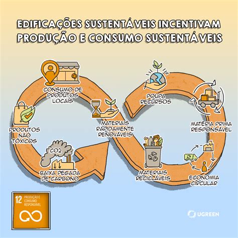 Como Podemos Contribuir Para O Consumo Sustentável Dos Produtos Florestais
