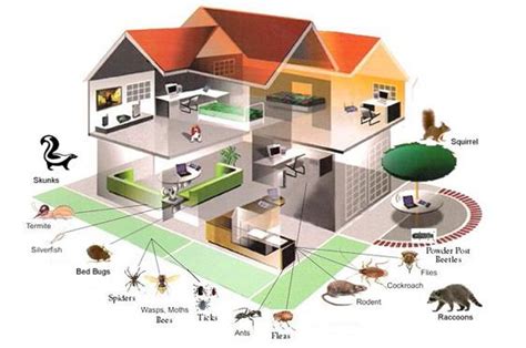 Branch 2 is by far the most common of the three branches and often the best place to start when entering the pest control industry in california. Good Life Pest Control Services in Dubai | Pest Control ...