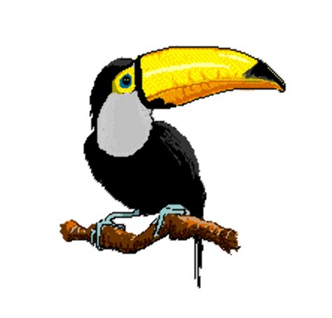 Food chains, food webs, and ecological pyramids help us understand who eats whom and how changes in a population of organisms can impact predators and prey. Download High Quality Animal clipart rainforest animals Transparent PNG Images - Art Prim clip ...