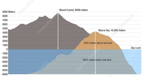 Mount Everest Vs Mauna Kea Illustration Stock Image C0281340