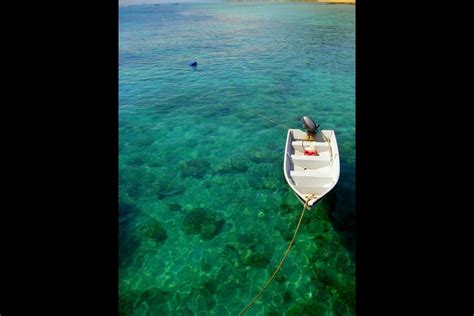 33 places to swim in the world s clearest water clear water tioman island clear beaches