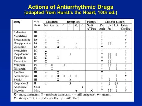 Ppt Antiarrhythmic Drugs Powerpoint Presentation Id 1285468
