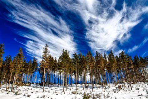 Free Images Landscape Nature Forest Wilderness Snow