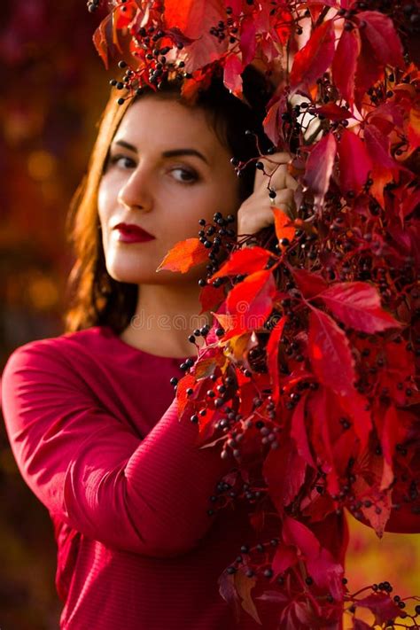 Beautiful Woman In The Autumn Park Stock Photo Image Of Ladylike