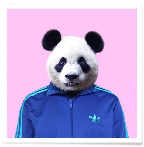 Panda Poster Juniqe