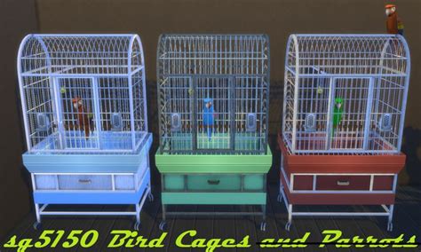 Sg5150 Bird Cage And Parrot Maxis Design Edits By Sg5150 Bird Cage