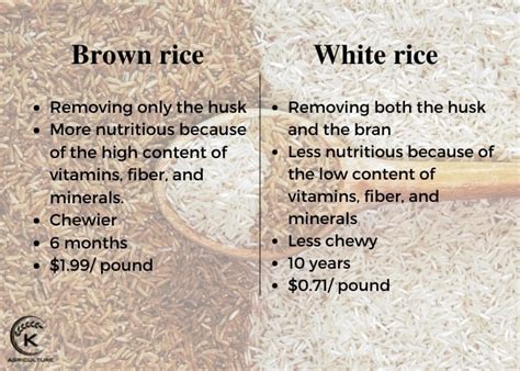Brown Rice Is Much Different From White Rice