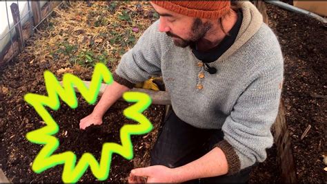 Maybe you would like to learn more about one of these? Wood Chips in the garden - Incredible! - YouTube