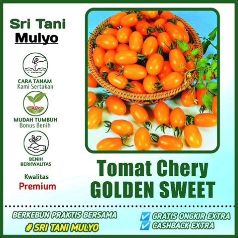Jual Biji Benih Tomat Cherry Golden Sweet F Rasa Manis Bibit