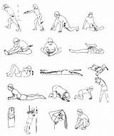 Workout Stretching Exercises Photos