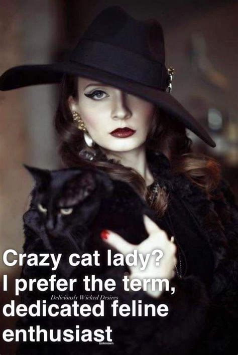Pin By Bonita Harmon On Carmen Crazy Cat People Crazy Cats Cat Lady