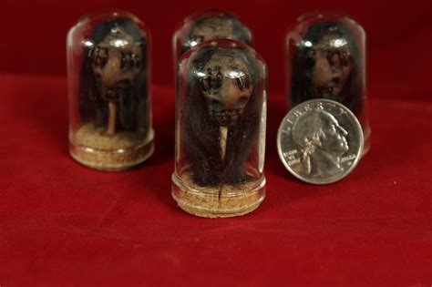 Miniature Shrunken Head In Cork Dome Dollhouse Oddity Occult Etsy