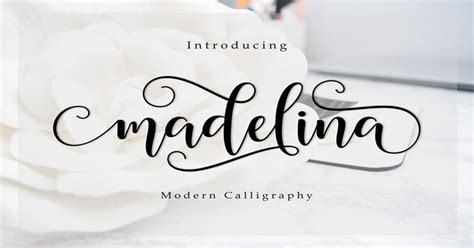 20 Free Calligraphy Fonts For Designers