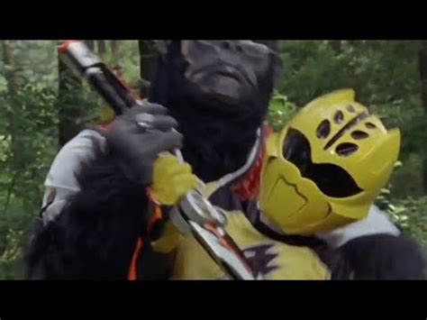 Juuken Gekiranger Yellow Sentai Ran Jungle Fury Youtube