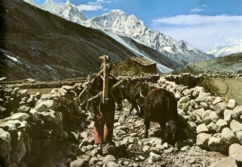 Daily Life In The Himalayas 43 Historical Pictures