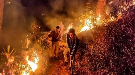 Uttarakhand Battles 40 Active Forest Fires Iaf Sends Help All You