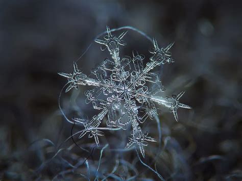 Awesome Zoomed In Pictures Of Snowflakes Ign Boards