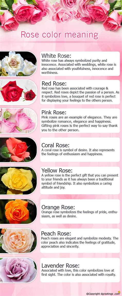 Its meaning is purity, innocence, fullness, and completion. Meaning of Roses | Rose color meanings, Rose meaning ...