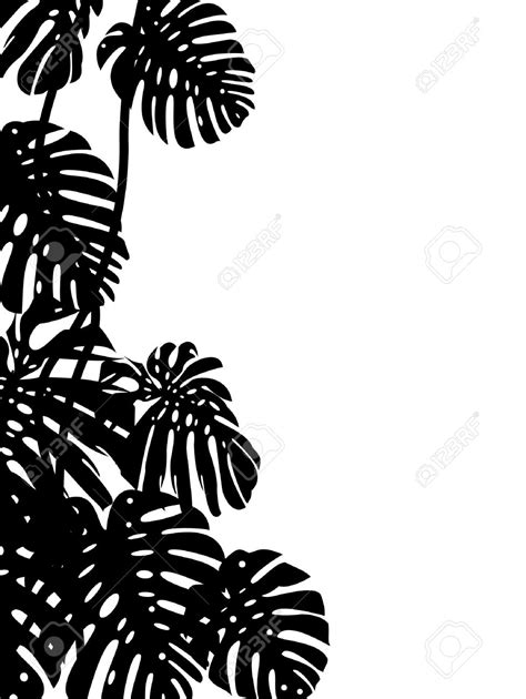 Forest tree nature forest wood environment foliag forest tree. jungle background clipart black and white 20 free Cliparts ...