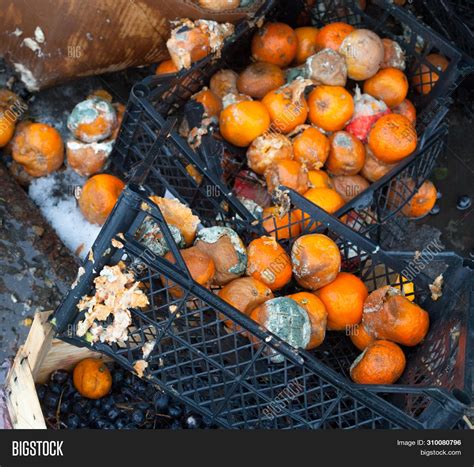 Rotten Mandarin Image & Photo (Free Trial) | Bigstock