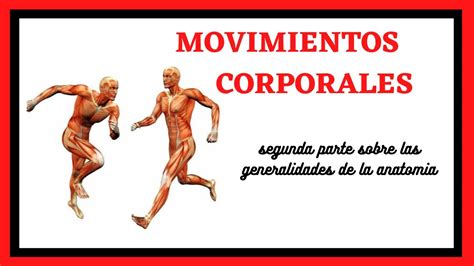 Movimientos Corporales Generalidades Sobre La Anatomia Parte2 Youtube