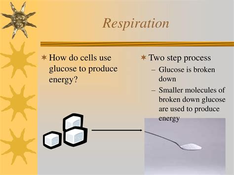 Ppt Cell Energy Powerpoint Presentation Free Download Id1301222