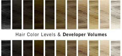 Hair Color Levels And Different Volumes Of Developers Wunderkult