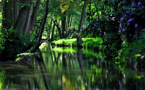 River Garden Hd Nature 4k Wallpapers Images Backgrounds Photos And Pictures