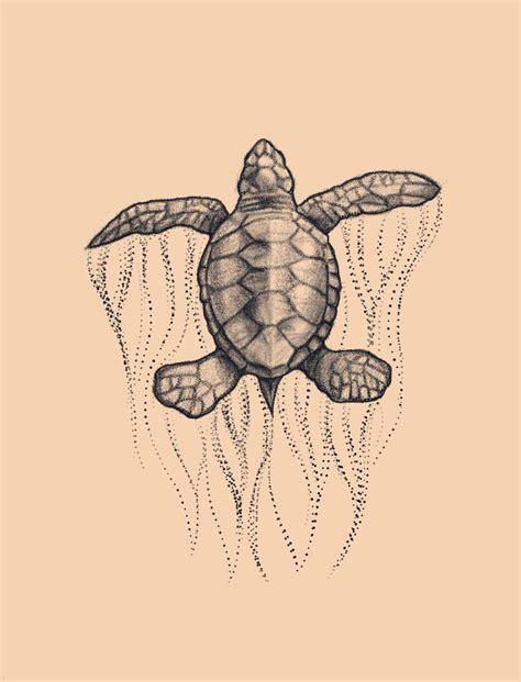 My Design For A Turtle Tattoo Turtle Tattoo Designs Sea Turtle
