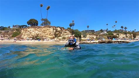 Snorkeling At Divers Cove Laguna Beach Youtube
