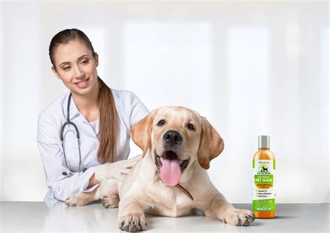 That means that our priority always is, always will be and always has been, the health and we are experienced in providing veterinary care for a number of clinical dog and cat conditions. See Your Pets' Coats Shining with Health | Doggy Bakery