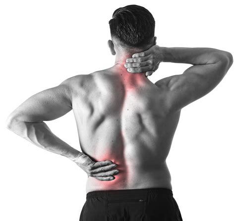 The vertebral column runs the length of the back and creates a central area of recession. NapMed Pain Clinic - National College of Naprapathic Medicine
