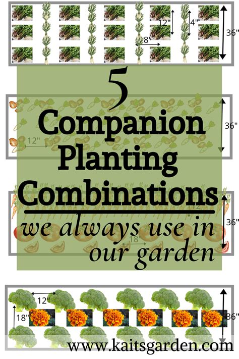 5 Companion Planting Combinations We Always Use Kaits Garden In 2021