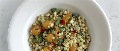 Succotash With Fava Beans By Eat Like A Yogi —the Taste Of Summer