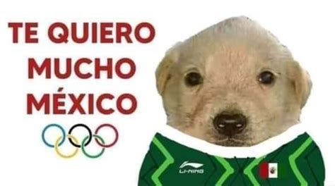 Los Queremos Mucho Memes Del Perrito Con El Que México Apoya A Sus
