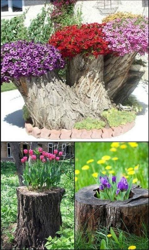 20 Beautiful Tree Stump Planter Ideas For The Garden Tree Stump