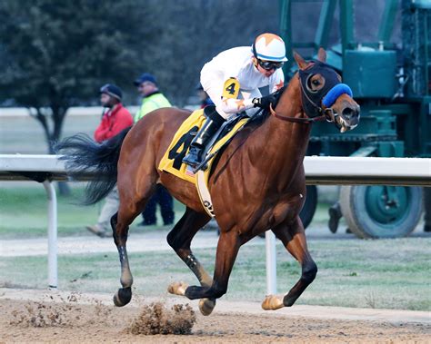 Brian Nadeaus Road To The Triple Crown The Southwest Stakes